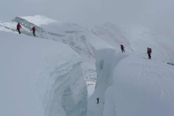 glacier crevasse rescue course canadian rockies andrew wexler