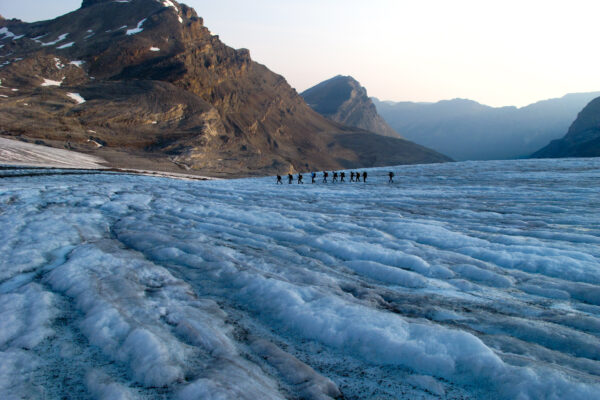 wapta icefields glacier mountaineering andrew wexler